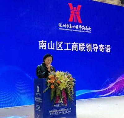 南山首個(gè)街道商會(huì)成立，匯聚業(yè)界精英，賦能企業(yè)市場(chǎng)開(kāi)發(fā)新篇章
